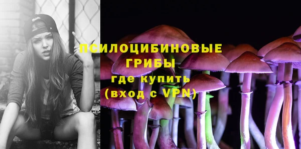 дурь Сосновка