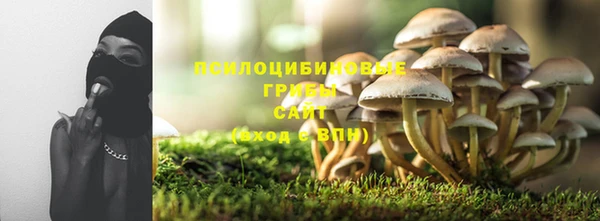 дурь Сосновка