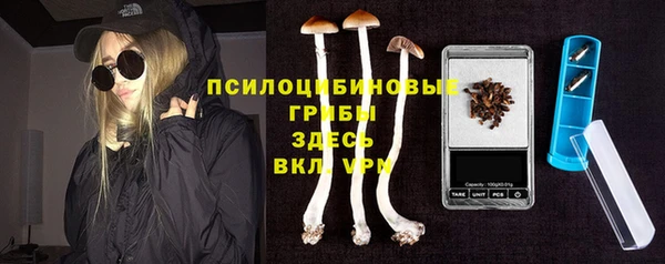 бошки Сосновый Бор